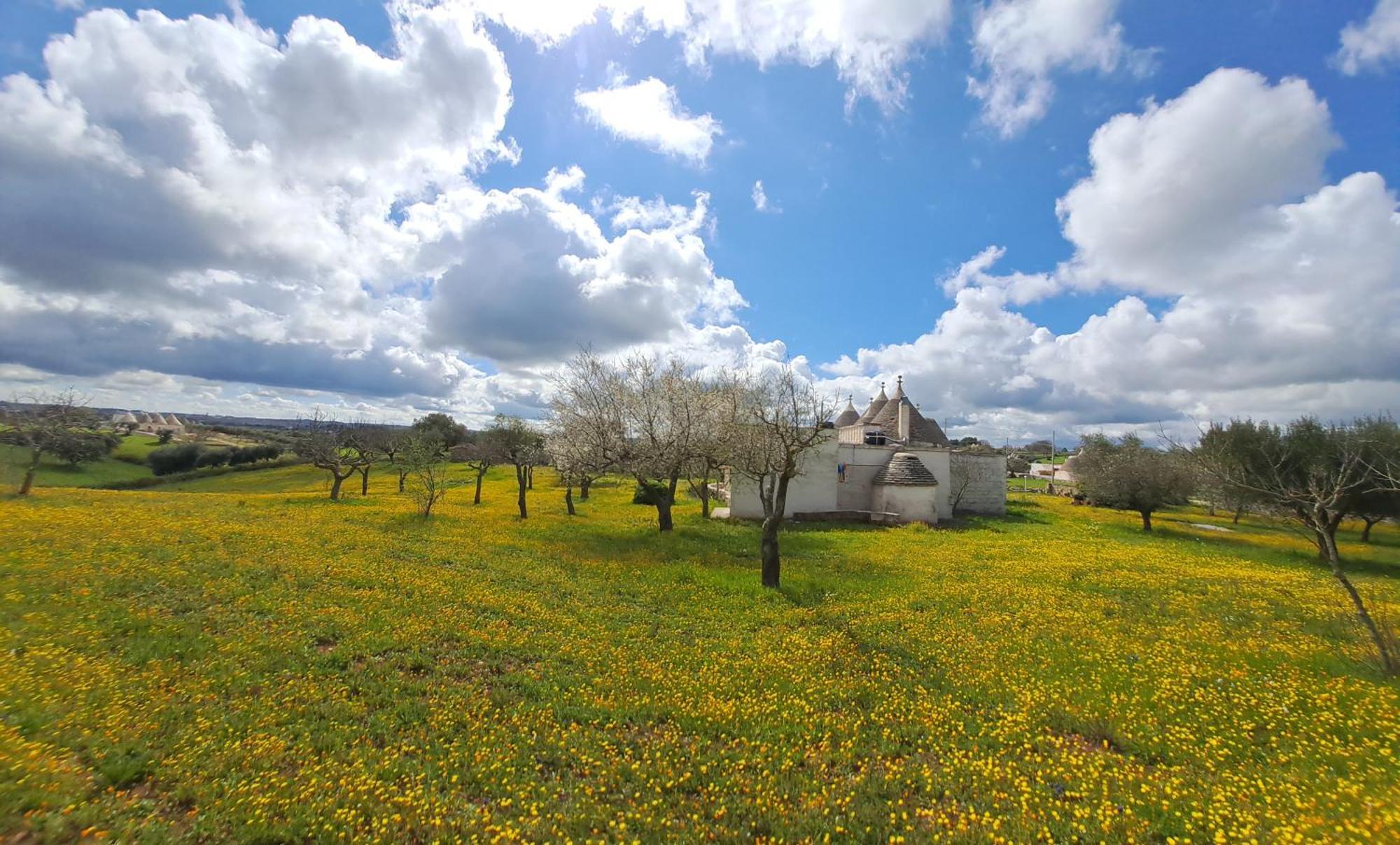 Trulli Carlo Anna Villa โลโกโรตอนโด ภายนอก รูปภาพ