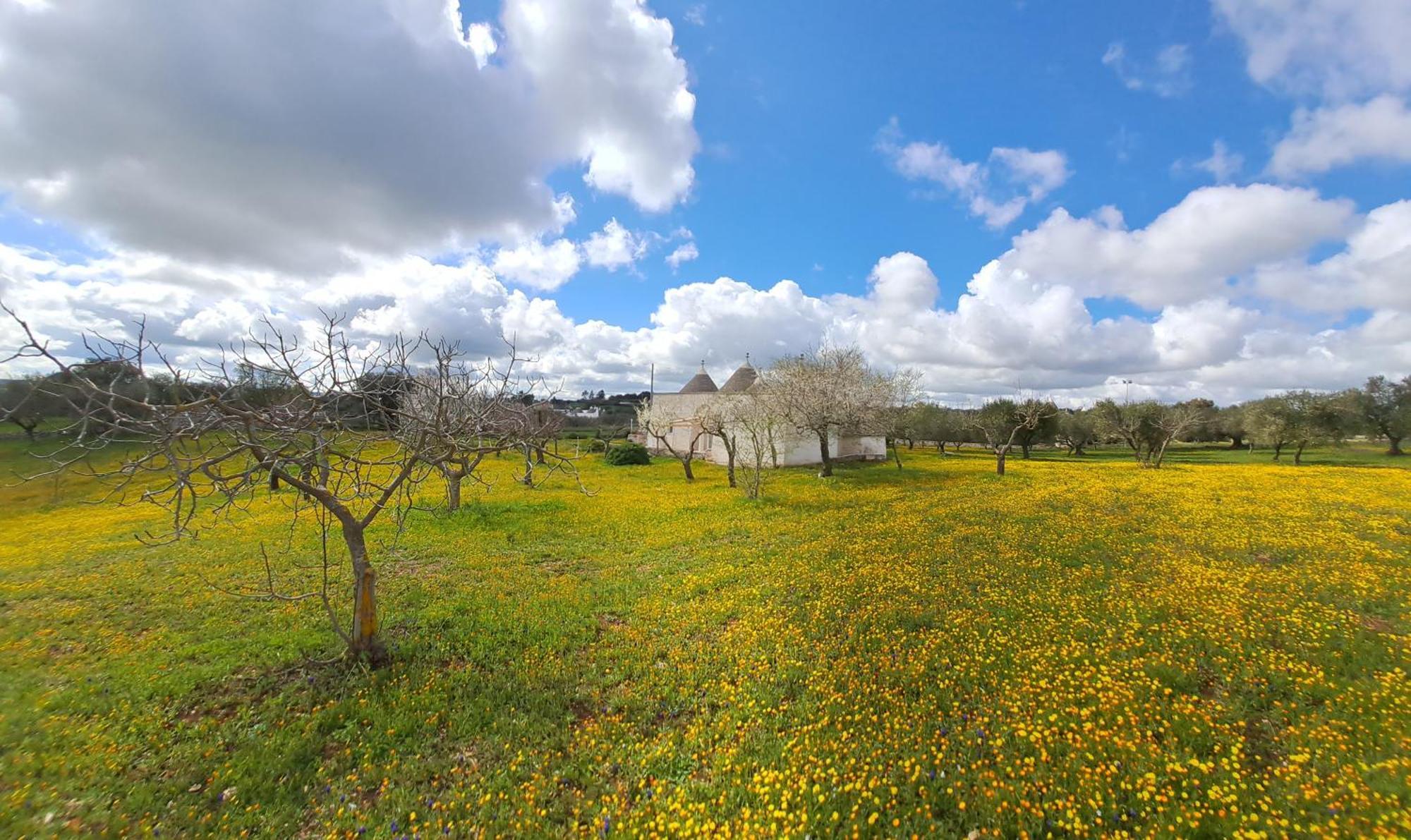 Trulli Carlo Anna Villa โลโกโรตอนโด ภายนอก รูปภาพ