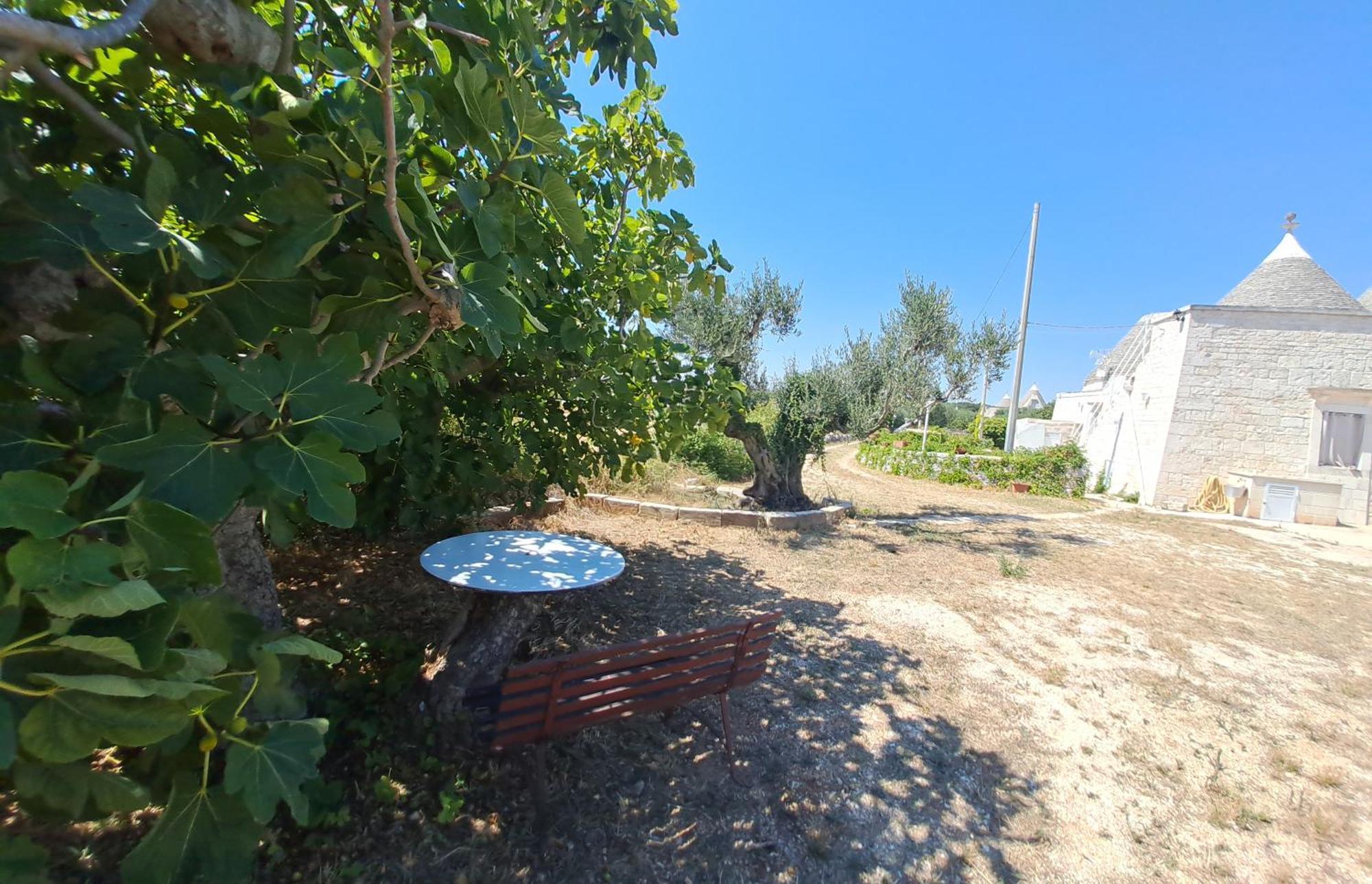 Trulli Carlo Anna Villa โลโกโรตอนโด ภายนอก รูปภาพ