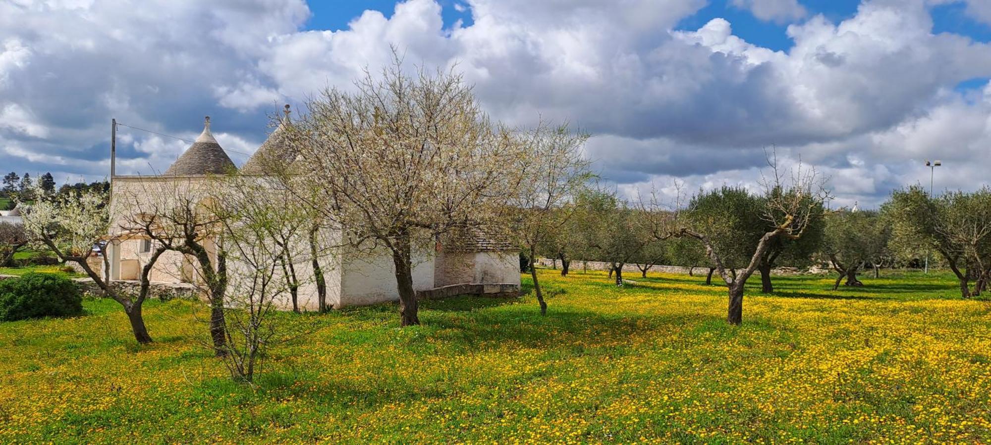Trulli Carlo Anna Villa โลโกโรตอนโด ภายนอก รูปภาพ
